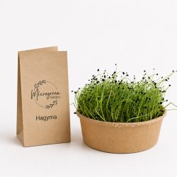 Hagyma mikrozöld és csíra mag 