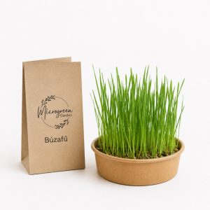 Búzafű mikrozöld és csíra mag 