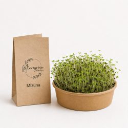Mizuna mikrozöld és csíra mag 
