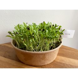 Körömvirág mikrozöld és csíra mag  10g
