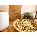 Mungo bab mikrozöld és csíra mag 