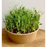 Zöldborsó mikrozöld és csíra mag 