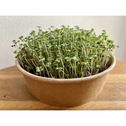 Mustár- Fekete mikrozöld és csíra mag 