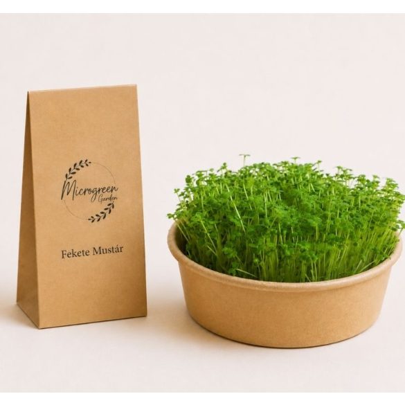 Mustár- Fekete mikrozöld és csíra mag 
